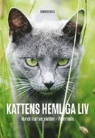 KATTENS HEMLIGA LIV : hur din katt ser p&aring; v&auml;rlden