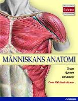 M&auml;nniskans anatomi Organ System Strukturer