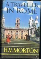 A traveller in Italy