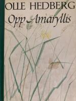 Opp Amaryllis