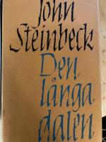 Den l&aring;nga dalen