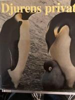 Djurens privatliv