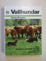 Vallhundar : [raser, arbetande vallhundar i Sverige, tr&auml;ning, vallhundsprov]