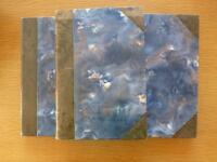 Dagboksanteckningar 1873-1885 3 volymer 