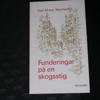 Funderingar p&aring; en skogsstig