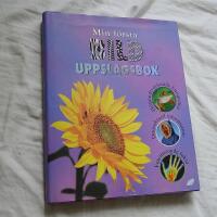 Min f&ouml;rsta bilduppslagsbok