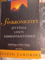 Synkronicitet: att f&aring;nga livets sammantr&auml;ffanden