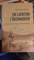 En lockton i &ouml;demarken : om m&auml;nniskans f&ouml;rm&aring;ga att besj&auml;la v&auml;rlden