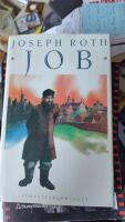 Job : roman om en vanlig m&auml;nniska