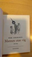 Mannen utan v&auml;g