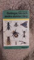 Getingar, bin och andra steklar i f&auml;rg