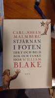 Stj&auml;rnan i foten : dikt och bild, bok och tanke hos William Blake