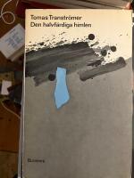 Den halvf&auml;rdiga himlen