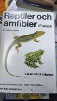 Reptiler och amfibier i Europa : en best&auml;mningsbok