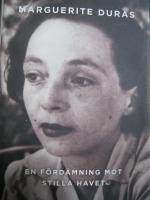 En f&ouml;rd&auml;mning mot havet