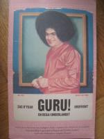 Guru! : en resa i underlandet