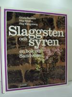 Slaggsten och syren : En bok om Sandviken