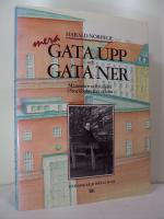 Mera gata upp och gata ner : M&auml;nniskor och milj&ouml;er i Stockholm f&ouml;rr och nu