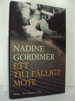 Ett tillf&auml;lligt m&ouml;te - roman
