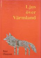 Ljus &ouml;ver V&auml;rmland, En bildnings historia