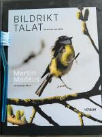 Bildrikt talat : reflektionsbok