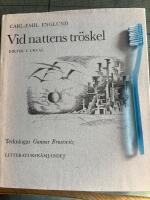 Vid nattens tr&ouml;skel. Dikter i urval