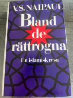 Bland de r&auml;ttrogna. En islamisk resa