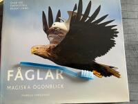 F&aring;glar : magiska &ouml;gonblick