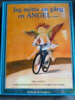 Jag m&ouml;tte en g&aring;ng en &auml;ngel : sagor