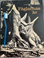 F&aring;glarnas &aring;r