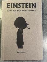 Einstein f&ouml;r envar