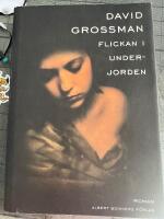 Flickan i underjorden - roman