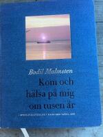 Kom och h&auml;lsa p&aring; mig om tusen &aring;r : Www.finistere.se : mars 2006-april 2007