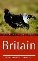 Where to watch birds. Britain.