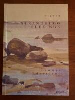 Strandhugg i Blekinge 