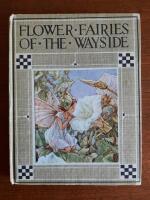 Flower fairies of the wayside 