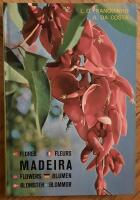 Madeira - V&auml;xter och blommor