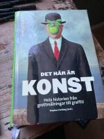 Det h&auml;r &auml;r konst  : hela historien fr&aring;n grottm&aring;lningar till graffiti