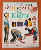 Din kropp : uppt&auml;ck v&aring;r fantastiska v&auml;rld i bild och ord