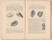 Om sk&ouml;tseln och behandlingen af f&ouml;lets hofvar. Med 12 teckningar efter naturen.