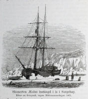 De svenska expeditionerna till polartrakterna I-III (i Ny illustrerad tidning nr 5-7 1866).