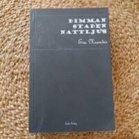 Dimman, Staden, Nattljus