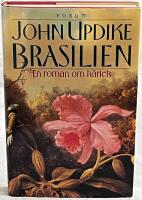 Brasilien-En roman om