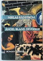 &Auml;ngel bland skuggor - roman