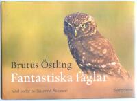 Fantastiska f&aring;glar