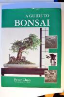 A guide to Bonsai