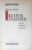 Kulturanalyser : ungdom, utbildning, modernitet : ess&auml;er