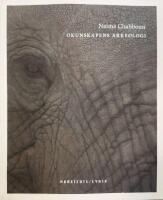 Okunskapens arkeologi