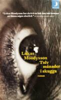 Tolv månader i skugga