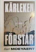 K&auml;rleken vi inte f&ouml;rst&aring;r